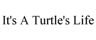 IT'S A TURTLE'S LIFE