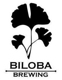 BILOBA BREWING