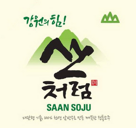 SAAN SOJU 100%