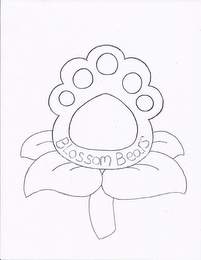 BLOSSOM BEARS