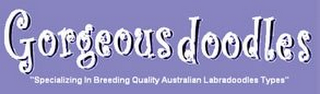 GORGEOUSDOODLES "SPECIALIZING IN BREEDING QUALITY AUSTRALIAN LABRADOODLES TYPES"