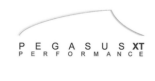 PEGASUS PERFORMANCE XT