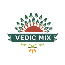 VEDIC MIX