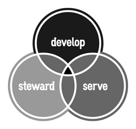 DEVELOP STEWARD SERVE