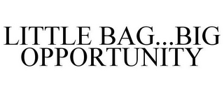 LITTLE BAG...BIG OPPORTUNITY