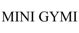 MINI GYMI