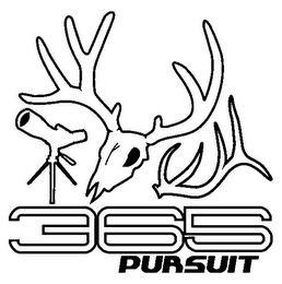 365 PURSUIT