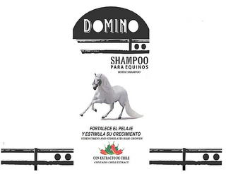 DOMINO SHAMPOO PARA EQUINOS HORSE SHAMPOO FORTALECE EL PELAJE Y ESTIMULA SU CRECIMIENTO STRENGTHENS AND STIMULATES HAIR GROWTH CON EXTRACTO DE CHILE CONTAINS CHILE EXTRACT