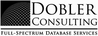 DOBLER CONSULTING FULL-SPECTRUM DATABASE SERVICES