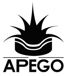 APEGO