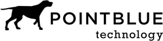 POINTBLUE TECHNOLOGY