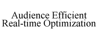 AUDIENCE EFFICIENT REAL-TIME OPTIMIZATION