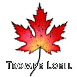 TROMPE LOEIL