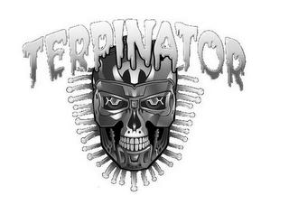 TERPINATOR