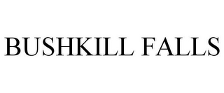 BUSHKILL FALLS