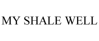 MY SHALE WELL