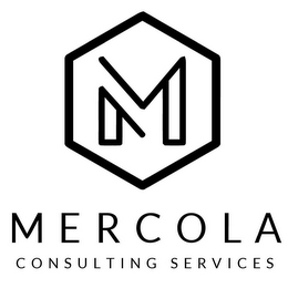 M MERCOLA CONSULTING SERVICES