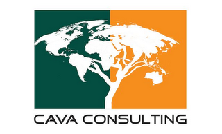 CAVA CONSULTING