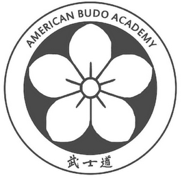 AMERICAN BUDO ACADEMY