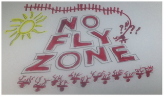 NO FLY ZONE