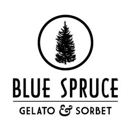 BLUE SPRUCE GELATO & SORBET