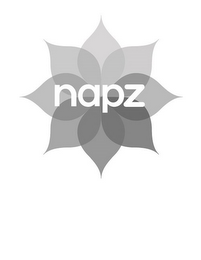 NAPZ