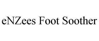 ENZEES FOOT SOOTHER