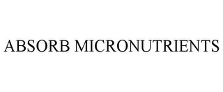 ABSORB MICRONUTRIENTS