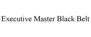 EXECUTIVE MASTER BLACK BELT