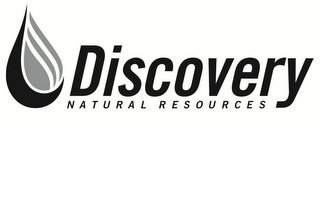 DISCOVERY NATURAL RESOURCES