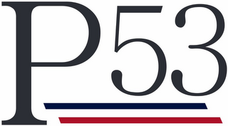 P53