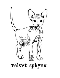 VELVET SPHYNX