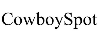 COWBOYSPOT
