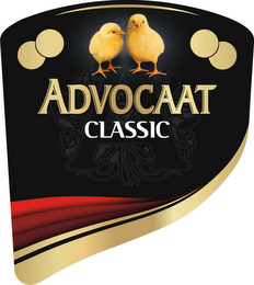 A ADVOCAAT CLASSIC