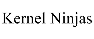 KERNEL NINJAS