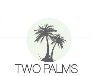 TWO PALMS