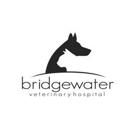 BRIDGEWATER VETERINARY HOSPITAL