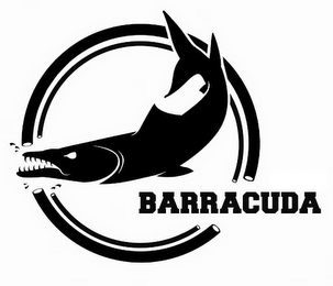 BARRACUDA