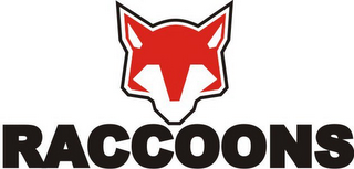 RACCOONS