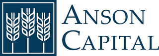 ANSON CAPITAL