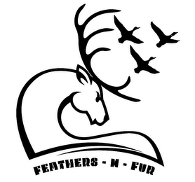 FEATHERS - N - FUR