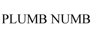 PLUMB NUMB