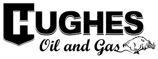 HUGHES OIL AND GAS