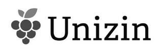 UNIZIN