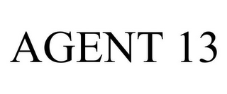 AGENT 13
