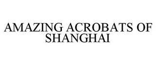 AMAZING ACROBATS OF SHANGHAI