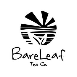 BARELEAF TEA CO.