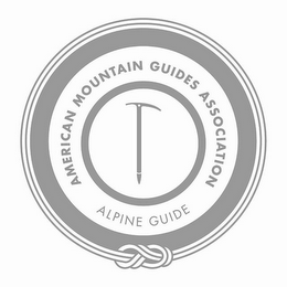 AMERICAN MOUNTAIN GUIDES ASSOCIATION ALPINE GUIDE