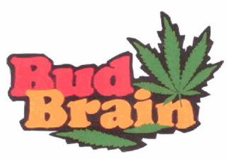 BUD BRAIN