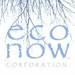 ECO NOW CORPORATION